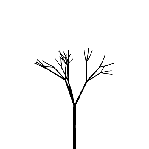 Growing tree