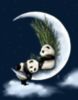 Good Night - Pandas