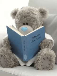 Teddy Bear reads book