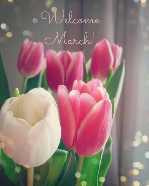 Welcome March! 🙂🌷🌷🌷