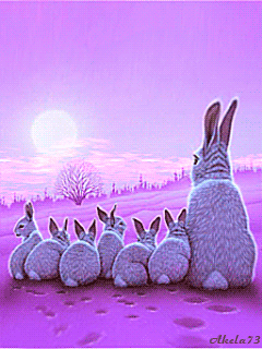 Cute Bunny Family