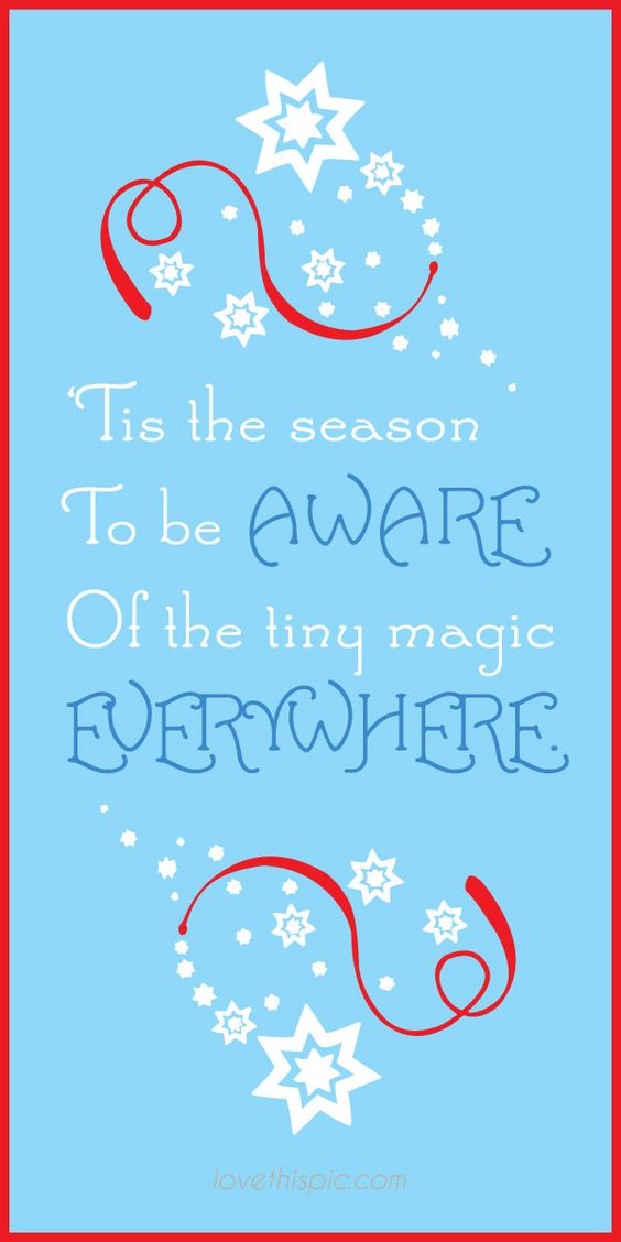 The season magic everywhere - Christmas Quote