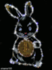 Bunny with golden coin