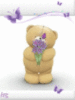 Teddy Bear with Flowers and Butterflies