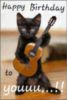 Happy Birthday To You! -- Black cat plays guitar