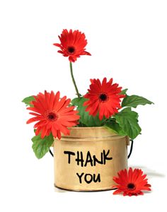 Thank You -- Red Flowers