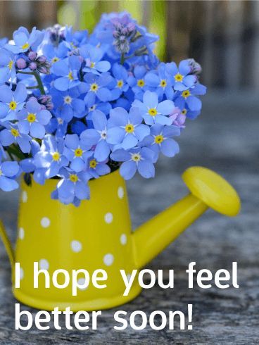 I hope you feel better soon! -- Blue Flowers