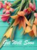 Get Well Soon -- Flowers