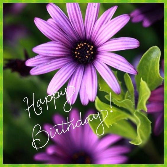 Happy Birthday! -- Purple Flower