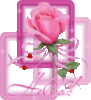 Hello! -- Pink Rose