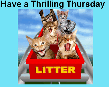 Have a Thrilling Thursday -- LOL cats