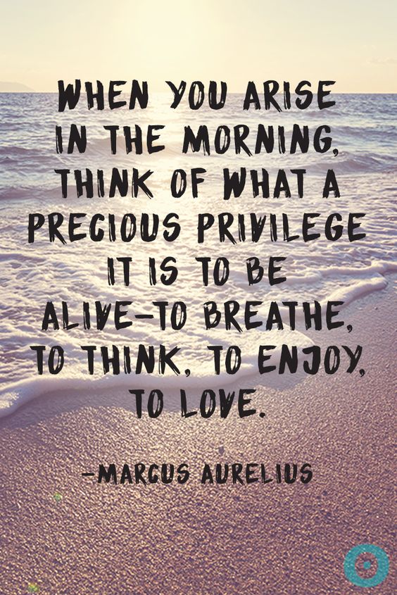 When you arise in the morning, think of what a precious privilege it is to be alive - to breathe, to think, to enjoy, to love. - Marcus Aurelius