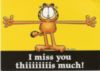 I miss you this much! Garfield