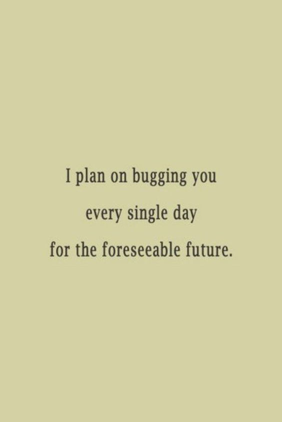 I plan on bugging you every single day for the foreseeable future.