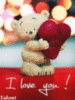 I Love You! -- Teddy Bear❤