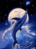 Dolphin and Moon