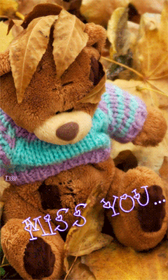 Miss You... -- Teddy Bear