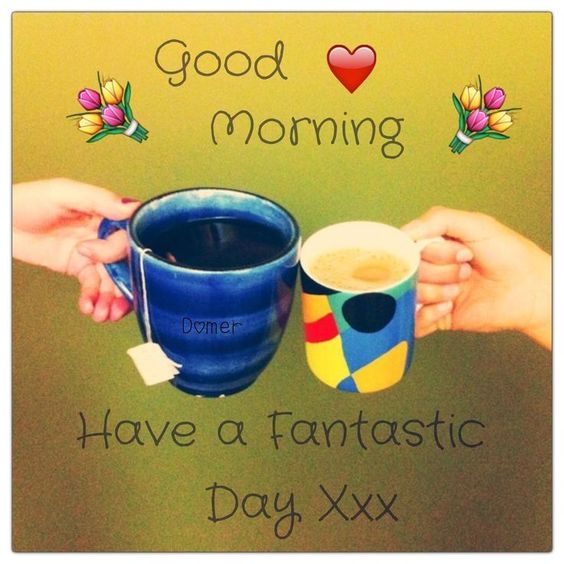 Good Morning! Have a Fantastic Day Xxx