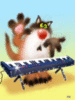 Music Cat