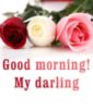 Good Morning My Darling