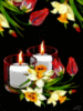 Candles and Flowers