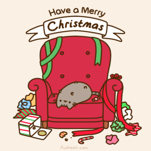Have a Merry Christmas Pusheen
