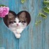 Cute Kitten Heart and Flowers