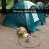 LOL Cat: camping
