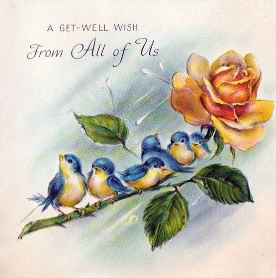 A Get-Well Wish From All of Us