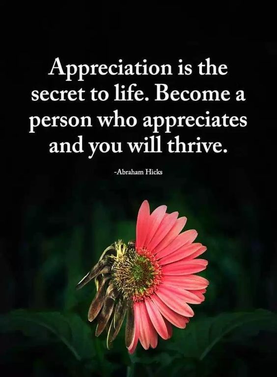 Appreciation is the secret to life. Become a person who appreciates and you will thrive. - Abraham Hicks