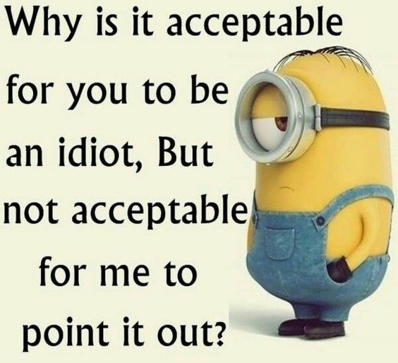 Why is it acceptable for you to be an idiot, but not acceptable for me to point it out? Minions