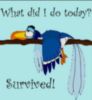 What did I do today? Survived!