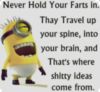 Never hold your farts in. They travel up your spine, into your brain, and that's where shitty ideas come from. Minions