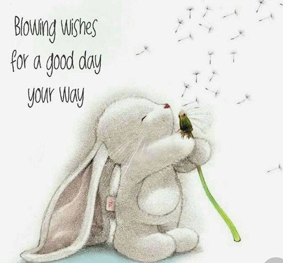 Blowing wishes for a good day your way