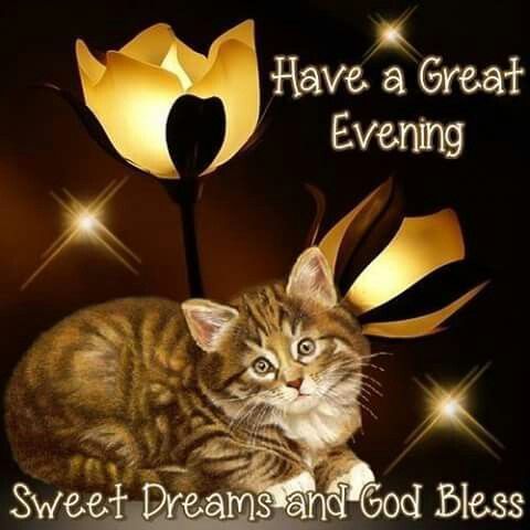 Have a Great Evening Sweet Dreams and God Bless