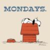 Mondays. Snoopy
