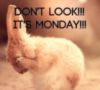 Don't look! It's Monday!