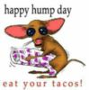 Happy Hump Day! Eat your tacos!
