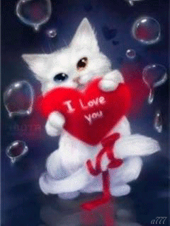 I Love You Cat with Heart