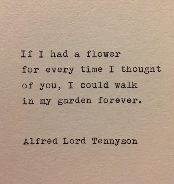 If I had a flower for every time I thought of you, I could walk in my garden forever. - Alfred Lord Tennyson Love Quote