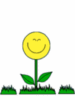 Smiling flower