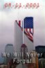 Remembering 9-11 Will Never Forget