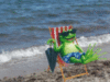 Summer Frog on the beach