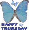 Happy Thursday Blue Butterfly