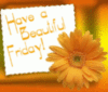 Have A Beautiful Friday!