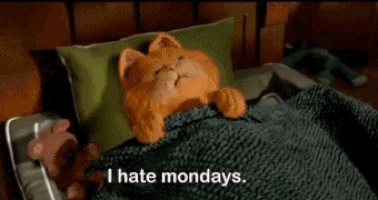 I hate Mondays. Garfield