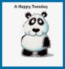 A Happy Tuesday