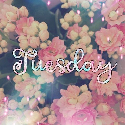 Tuesday Tuesday Myniceprofile Com