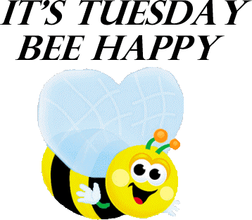 It's Tuesday Be Happy
