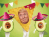 Funny Trump Chips Dance